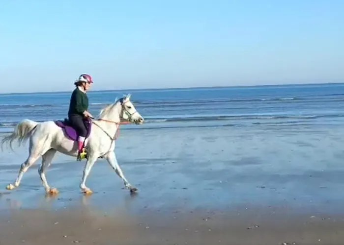 アパート Odette *